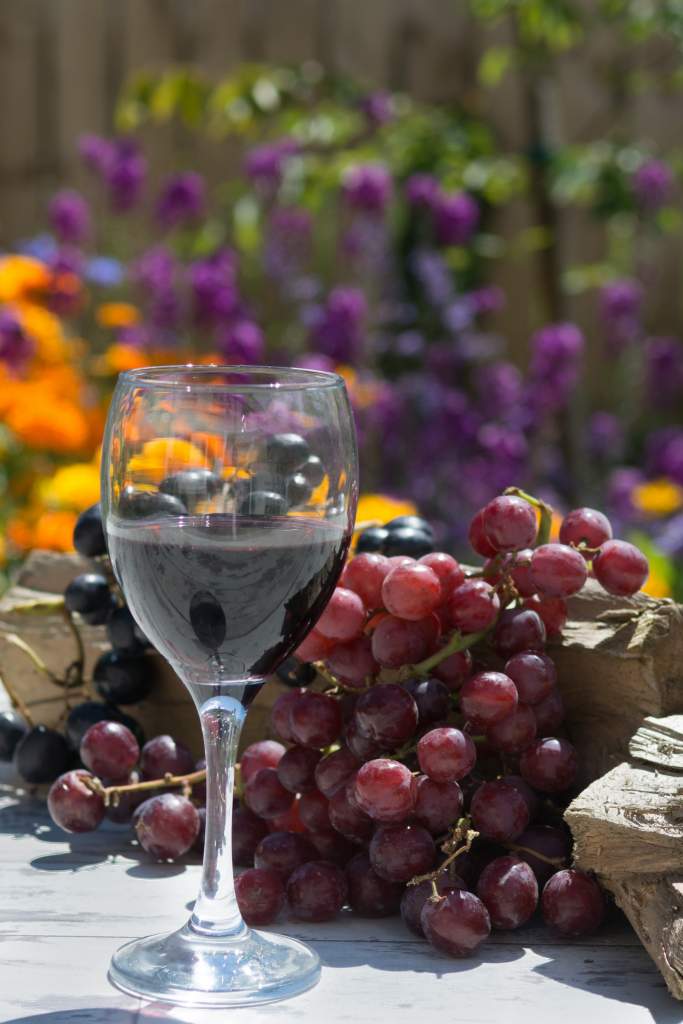 a szőlő és a szív egészsége
